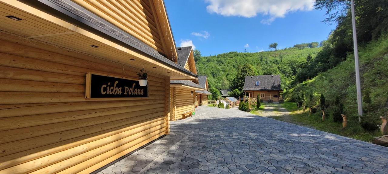 Cicha Polana Vila Szczyrk Exterior foto